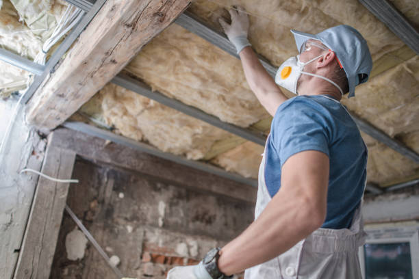 Best Residential Insulation in Largo, MD